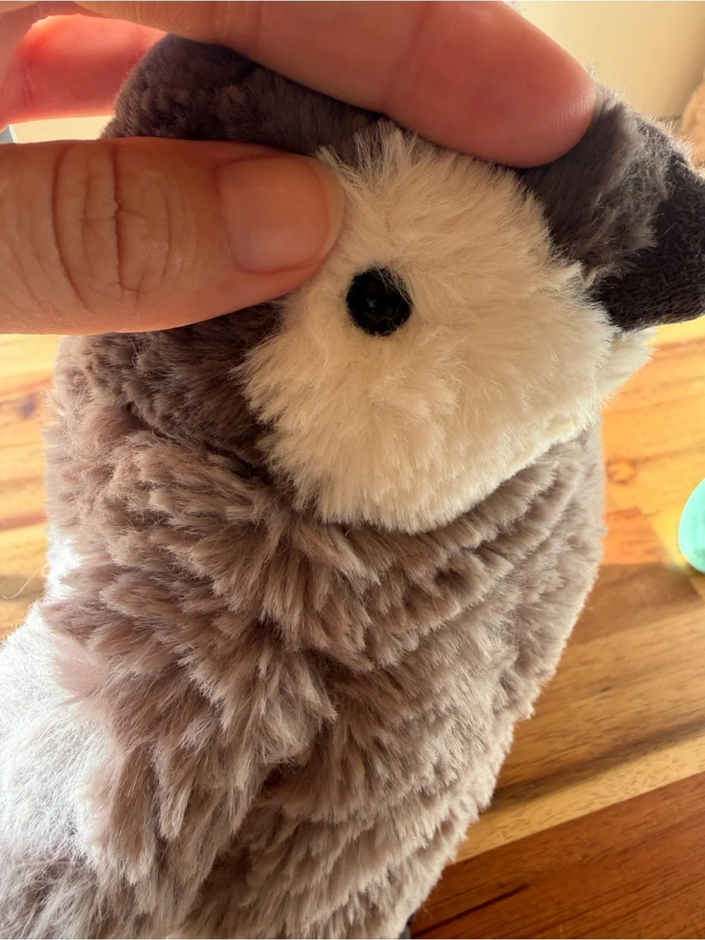 Jellycat gone
